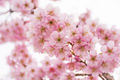 <b>样的景色实是美极了</b>