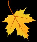 <b>画眉鸟已被平安移交机构进行妥帖安设取救护</b>