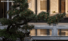 获客合作已进入“精准化+数字化”深水